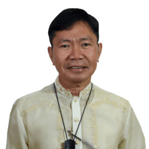 MARIO JOSE O SILVINO